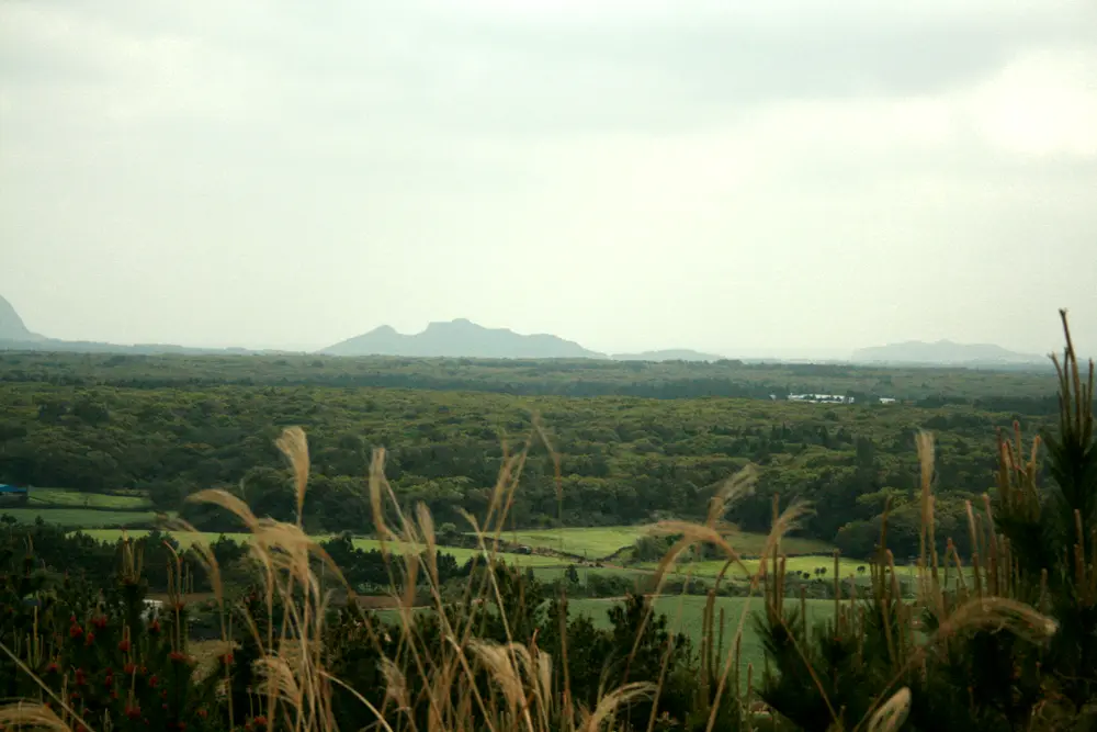 Jeju Island